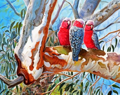 Galah Cockatoo Diamond Painting