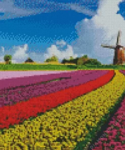 Tulips In Holland Diamond Painting