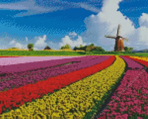 Tulips In Holland Diamond Painting