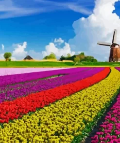 Tulips In Holland Diamond Painting