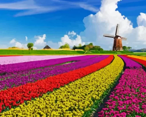 Tulips In Holland Diamond Painting