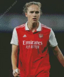 Cool Vivianne Miedema Diamond Painting