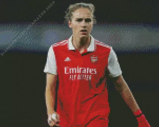 Cool Vivianne Miedema Diamond Painting