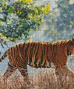 Wild Tiger Diamond Painting