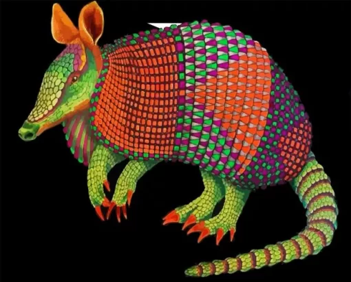 Colorful Armadillo Diamond Painting