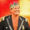 Cool Jerry Lawler Diamond Painting