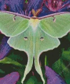 Luna Moth Diamond Painting