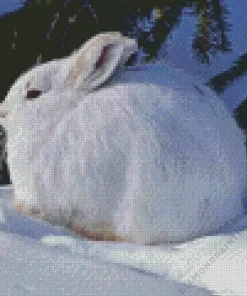 Cute Snowshoe Hare Diamond Painting