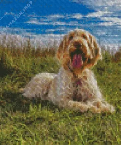 Cute Spinone Italiano Diamond Painting