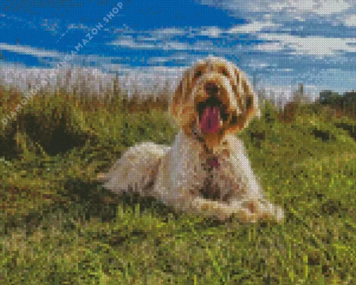 Cute Spinone Italiano Diamond Painting