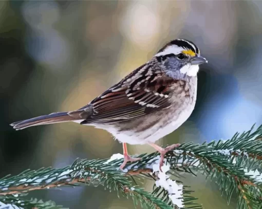 Throated Sparrow Diamond Painting