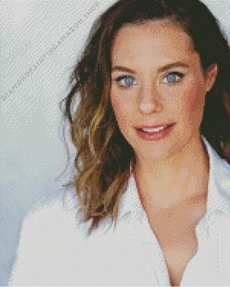 Ashley Williams Diamond Painting