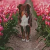 Dog In Tulips Field Diamond Painting