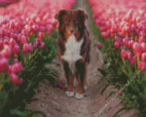 Dog In Tulips Field Diamond Painting