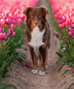 Dog In Tulips Field Diamond Painting