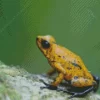 Yellow Dart Frogs Diamond Painting