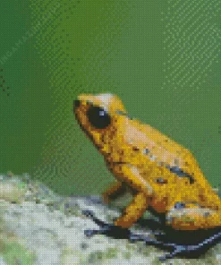 Yellow Dart Frogs Diamond Painting