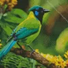 Green Jay Diamond Painting