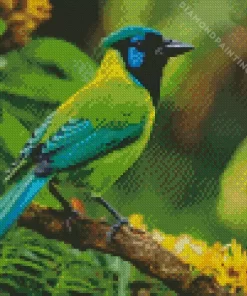 Green Jay Diamond Painting