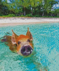 Pig In Beach Diamond Painting