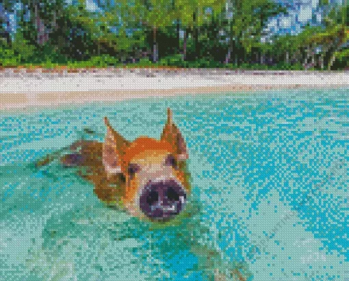 Pig In Beach Diamond Painting