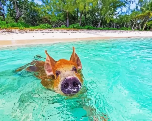 Pig In Beach Diamond Painting