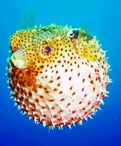 Cute Puffer Fish Diamond Painting