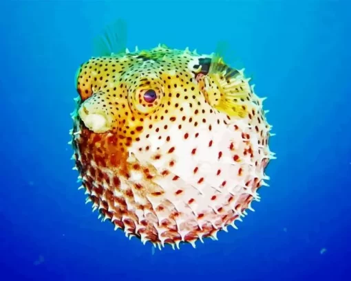 Cute Puffer Fish Diamond Painting