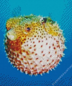 Cute Puffer Fish Diamond Painting