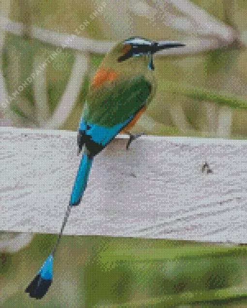 Aesthetic Motmot Diamond Painting