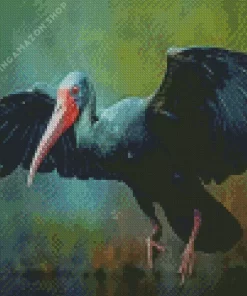 Black Ibis Art Diamond Painting