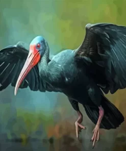 Black Ibis Art Diamond Painting