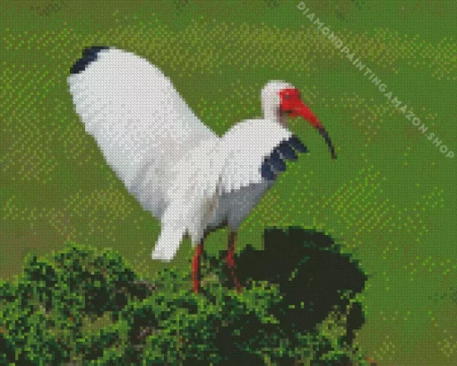 White Ibis Diamond Painting