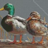 Joe Hautman Birds Diamond Painting