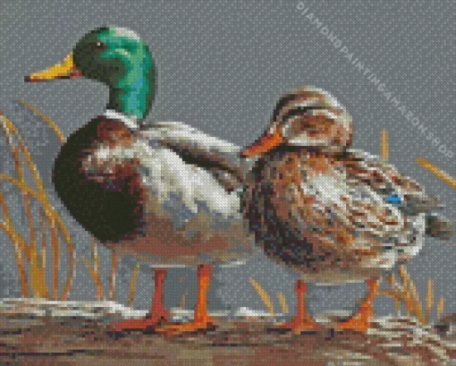 Joe Hautman Birds Diamond Painting