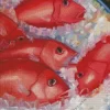 Snapper Fish Diamond Painting