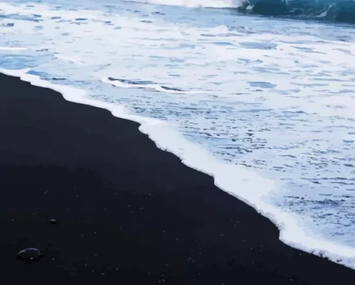 Black Sand Diamond Painting