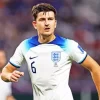 Famous Harry Maguire Diamond Painting