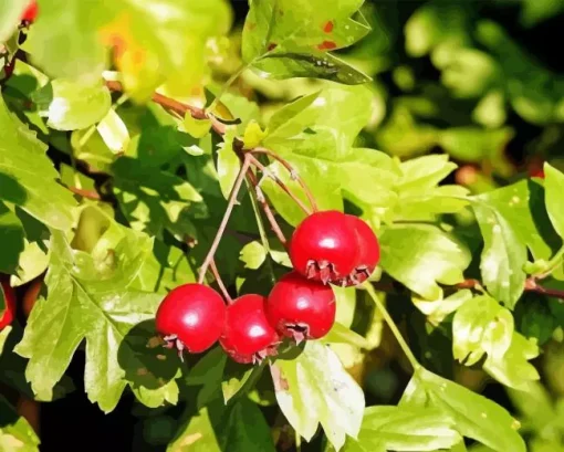 Hawthorn Tree Diamond Painting