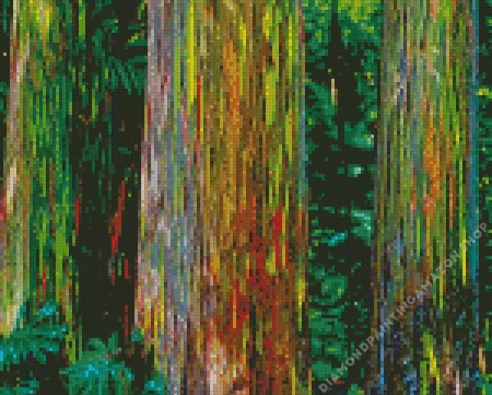 Rainbow Eucalyptus Diamond Painting