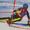 Ski Race Diamond Painting