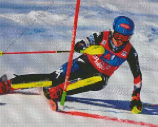 Ski Race Diamond Painting