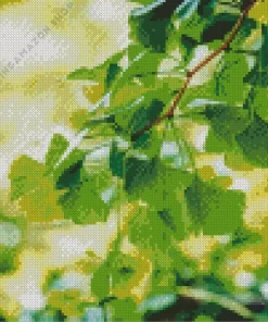 Green Ginkgo Tree Diamond Painting