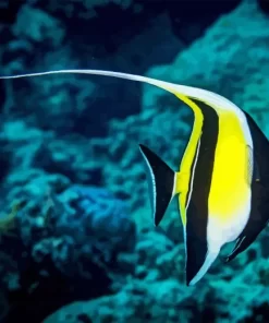 Moorish Idol Diamond Painting