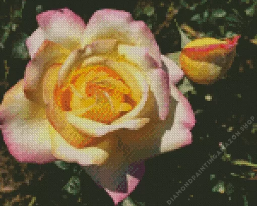 Rosa Peace Flower Diamond Painting