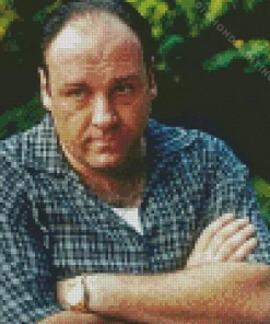 Tony Soprano Character Diamond Painting