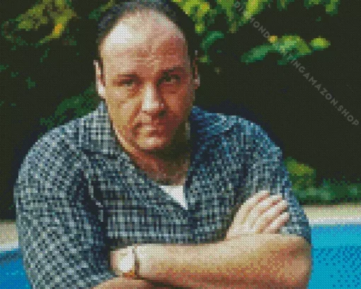 Tony Soprano Character Diamond Painting