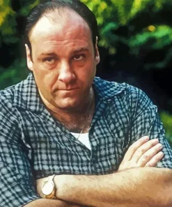 Tony Soprano Character Diamond Painting