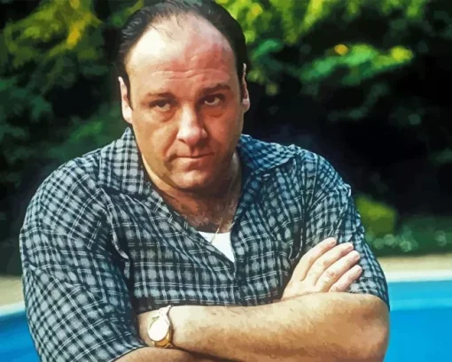 Tony Soprano Character Diamond Painting