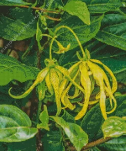 Ylang Ylang Diamond Painting